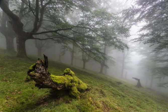 Nieblas en Oianleku: foto en Oiartzun