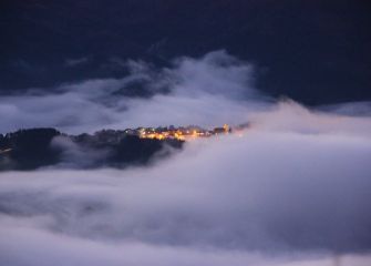 Olaberria nocturna