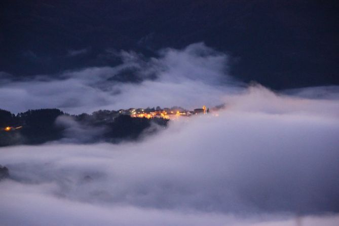 Olaberria nocturna: foto en Olaberria