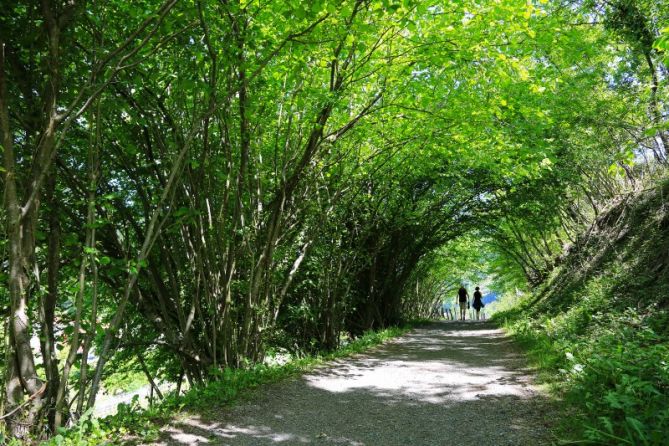 olatunel: foto en Legazpi