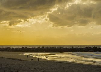 Orilla de la playa en el atardecer