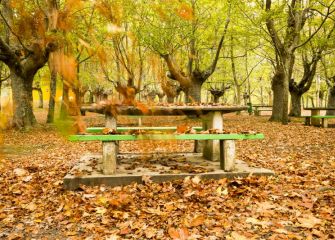 otoño