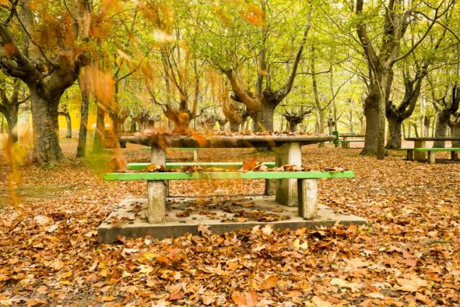 otoño: foto en Elgoibar