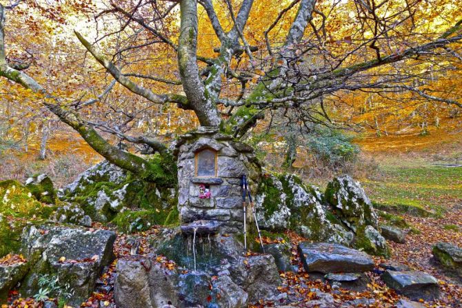 Otoño en Arantzazu -1: foto en Oñati