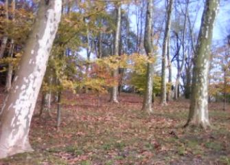 Otoño en Cristina enea