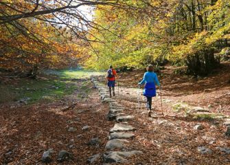 otoño romano