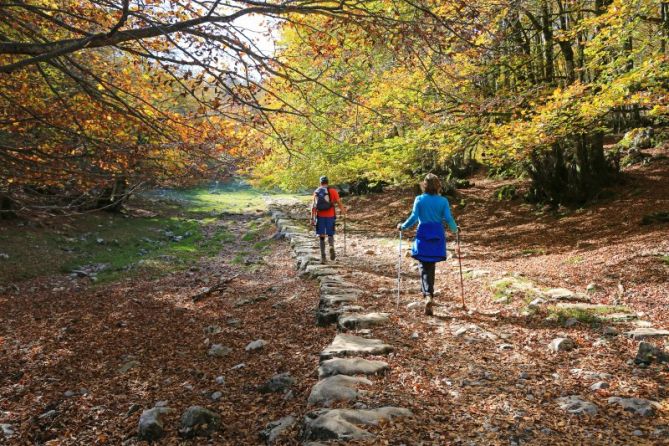 otoño romano: foto en Zegama