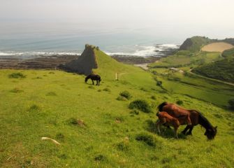 La otra cara del flysh