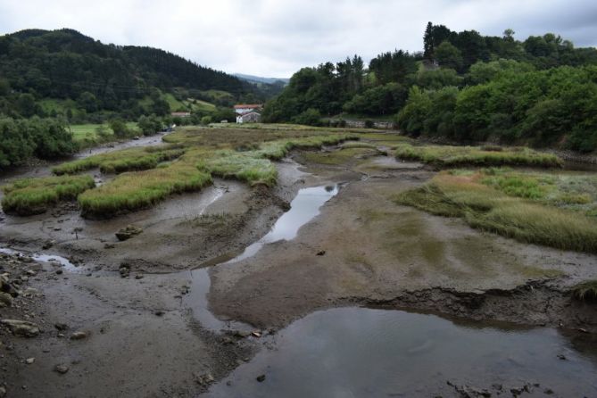 Padura: foto en Orio