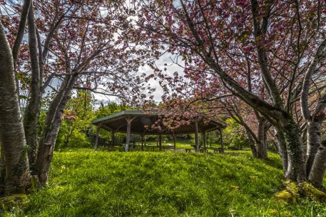 Pagoeta, parque de flores: foto en Aia