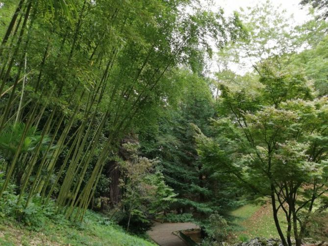 PARQUE DE AIETE: foto en Donostia-San Sebastián