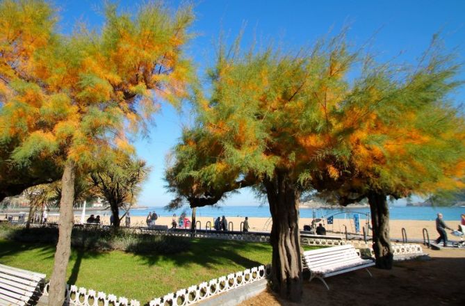 Paseo otoñal: foto en Donostia-San Sebastián