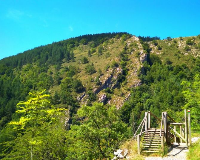 Paso hacia la montaña: foto en Ataun