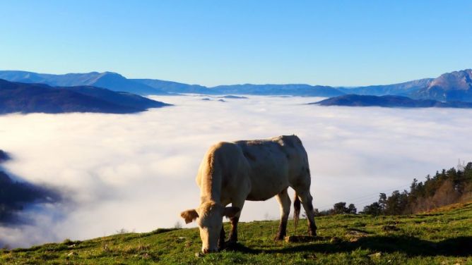 Pastando sobre las nuves: foto en Bergara