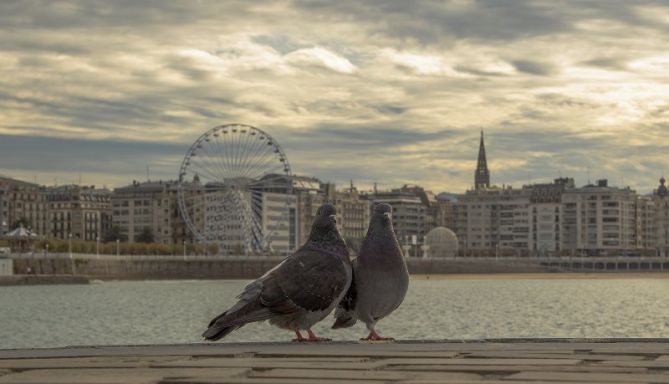 Posando para la foto: foto en Donostia-San Sebastián