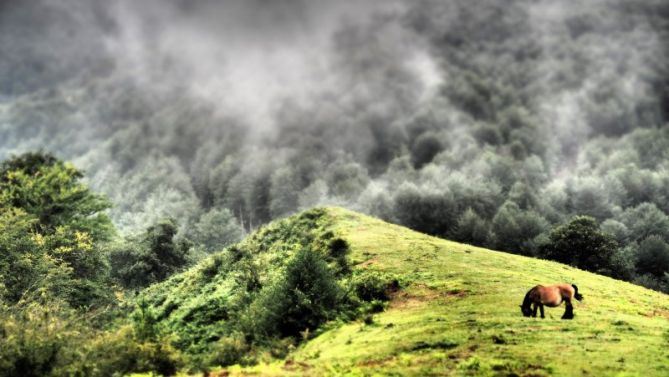 praderas alto de otxaurte: foto en Zegama