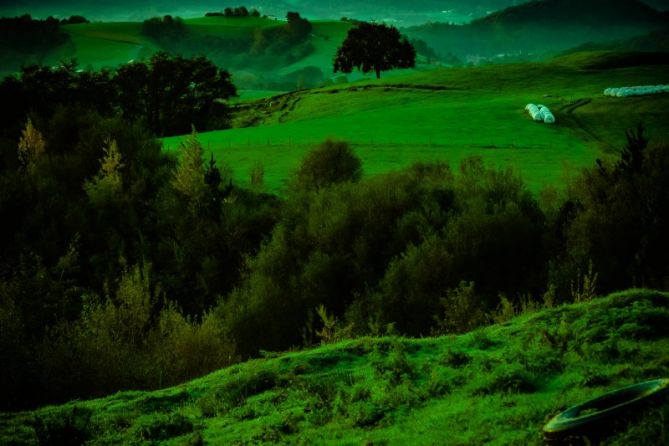 Prado del barrio Txikierdi: foto en Usurbil