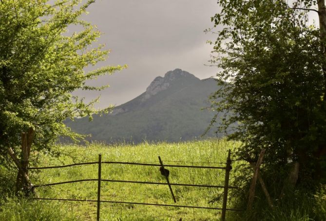 Prado junto al monte: foto en Abaltzisketa