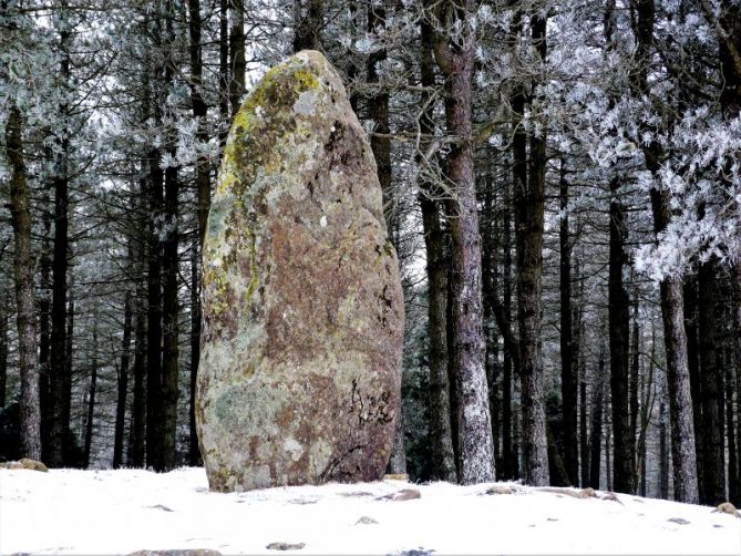 Prehistoria: foto en Bergara