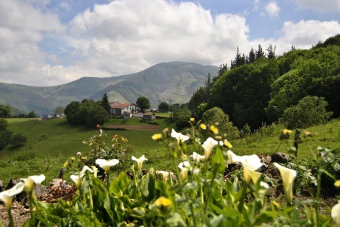 "Prima Vera" lehen berdetasuna: foto en Azpeitia