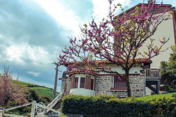 PRIMAVERA: foto en Zumaia