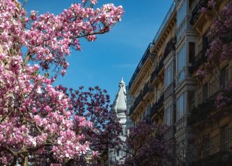 Primavera donostiarra