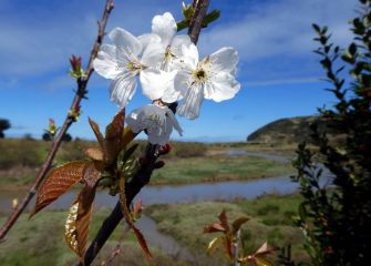 Primavera en Iñurritza