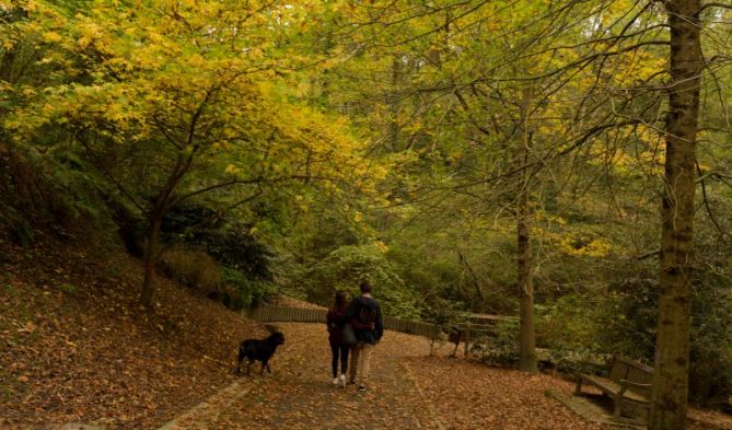 Primavera en otoño: foto en Donostia-San Sebastián