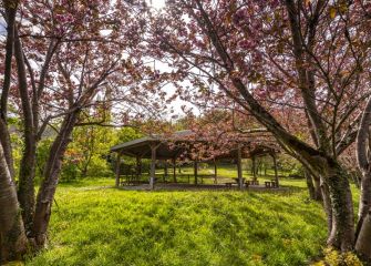 Primavera en Pagoeta