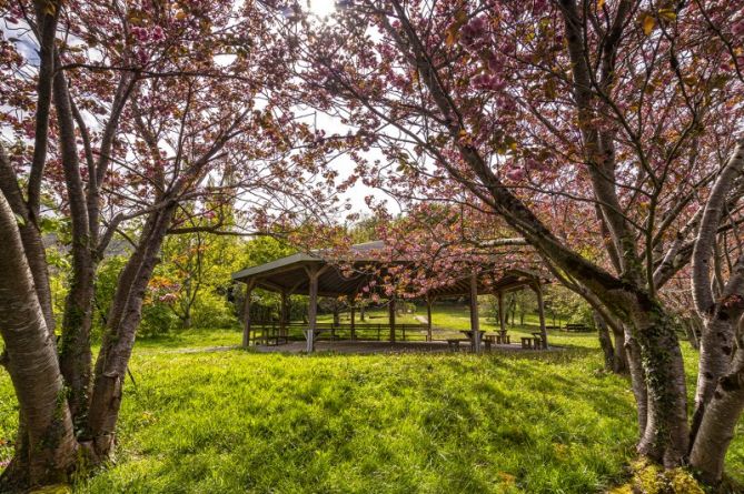 Primavera en Pagoeta: foto en Aia