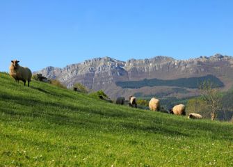 la primavera a sus pies