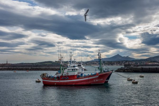 Puerto pesquero de Hondarribia: foto en Hondarribia