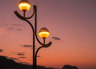 ratón a la luz de las farolas