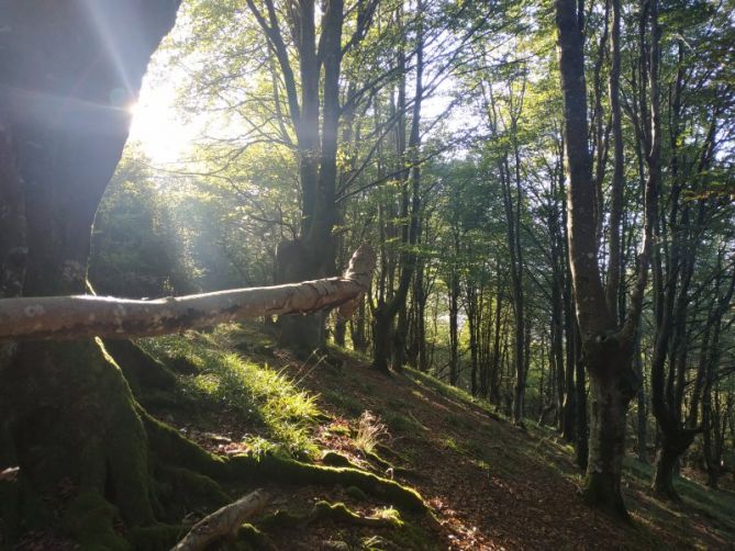 Rayos de luz: foto en Tolosa