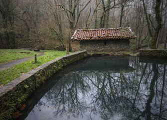 Reflejos en Agorregi Burdinola