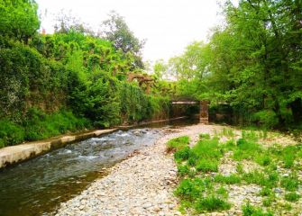 Ribera del río Agauntza