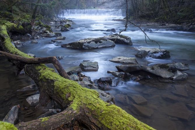 Rio Deba: foto en Bergara