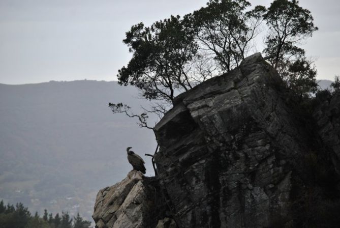 Sai habia: foto en Irun