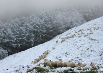 Senda de nieve