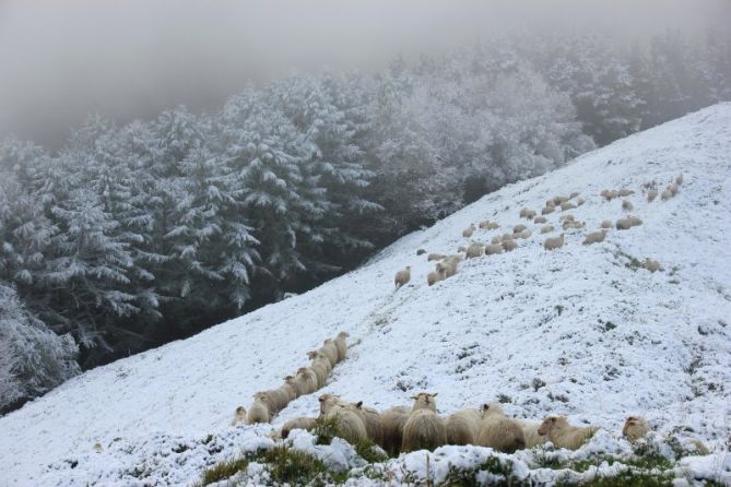 Senda de nieve: foto en Beasain