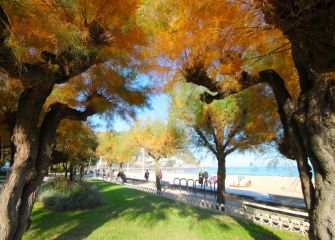 Simbolos donostiarras