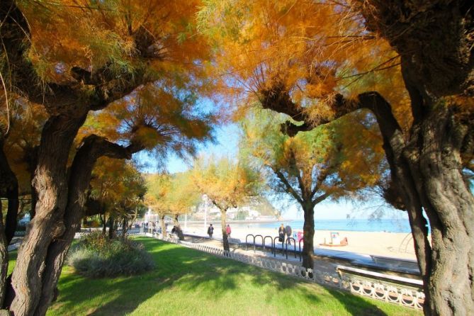 Simbolos donostiarras: foto en Donostia-San Sebastián