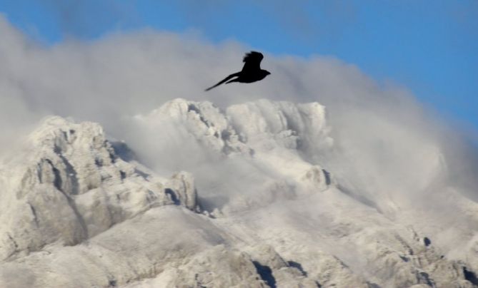 sobrevolando en libertad: foto en Zegama