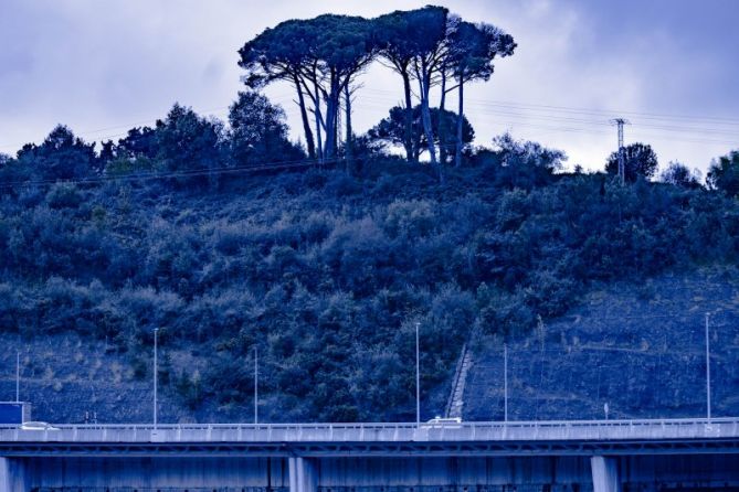 Supervivientes del progreso: foto en Donostia-San Sebastián