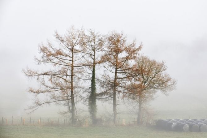 Surgiendo de la niebla: foto en Gaintza