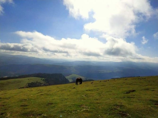 Tranquilidad: foto en Aia