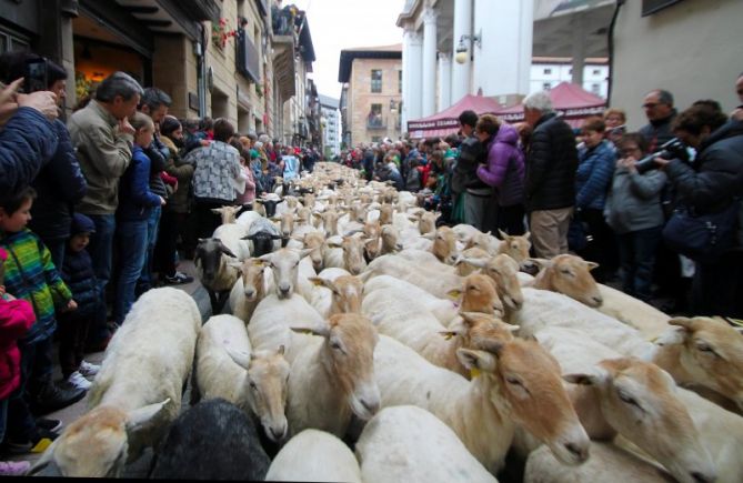 Trasumancia Ordiziarra: foto en Ordizia