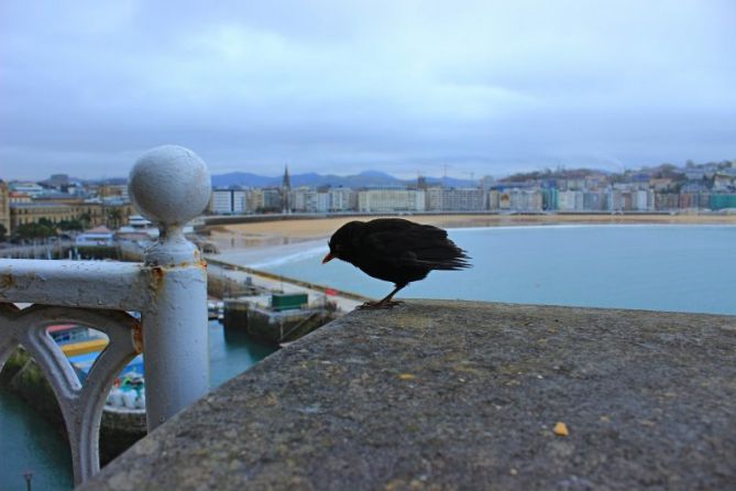 Triste.: foto en Donostia-San Sebastián