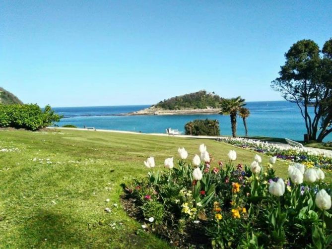 Tulipanes al sol: foto en Donostia-San Sebastián