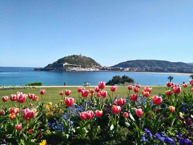 Tulipanes al sol: foto en Donostia-San Sebastián